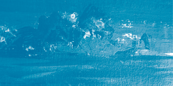 widget image